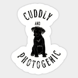 Stylish and Photogenic Sticker